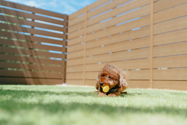 【NEW OPEN】愛犬と泊まれる一棟貸切宿